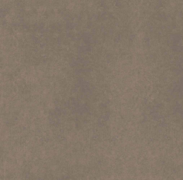 Керамогранит CA04 60x60x10 Непол.Рект. (Керамический гранит)