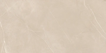 Керамогранит NL01 60x120x10 Непол.Рект. (Керамический гранит) #9