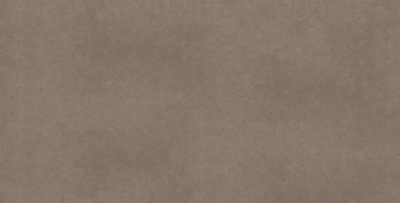 Керамогранит CA04 60x120x10 Непол.Рект. (Керамический гранит)