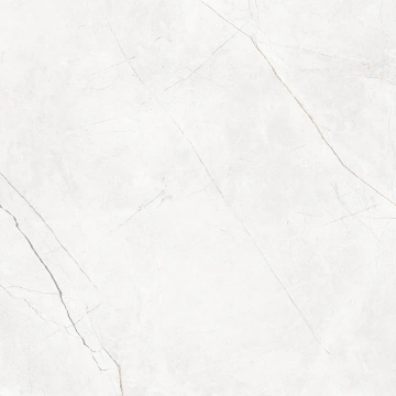 Керамогранит NL00 60x60x10 Полир. (Керамический гранит) #6