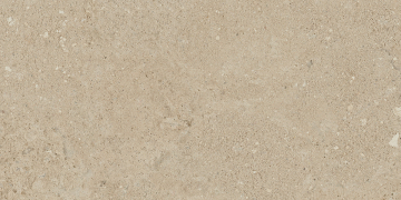 Керамогранит NP02 30,6x60,9x8 Непол. (Керамический гранит)-2