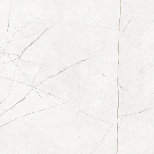 Керамогранит NL00 60x60x9 Непол.Рект. (Керамический гранит)-8