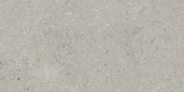 Керамогранит NP01 30,6x60,9x8 Непол. (Керамический гранит) #10