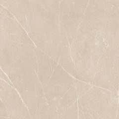 Керамогранит NL01 60x60x10 Непол.Рект. (Керамический гранит) #9