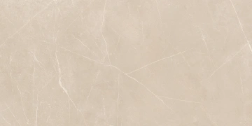 Керамогранит NL01 60x120x10 Непол.Рект. (Керамический гранит) #10