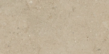 Керамогранит NP02 30,6x60,9x8 Непол. (Керамический гранит) #9