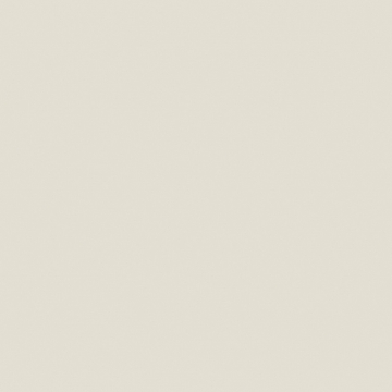 YC05 60x60 Непол.Рект. (Керамический гранит)