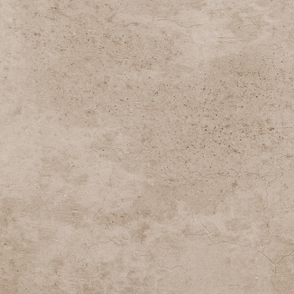 Керамогранит EE02 40,5x40,5х8 Непол. (Керамический гранит) (43,296 м2)-12