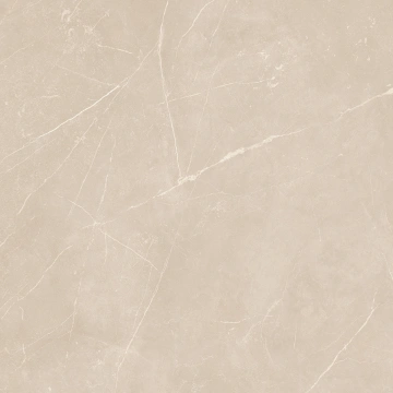 Керамогранит NL01 60x60x10 Непол.Рект. (Керамический гранит) #15