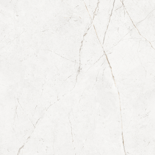 Керамогранит NL00 60x60x9 Полир. (Керамический гранит)-16
