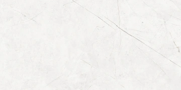 Керамогранит NL00 60x120x9 Непол.Рект. (Керамический гранит) #6