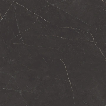 Керамогранит NL04 60x60x10 Непол.Рект. (Керамический гранит) #6