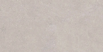 Керамогранит CE02 60x120x9 Структур.Рект. (Керамический гранит) #2