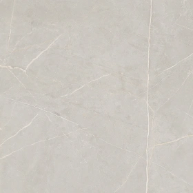 Керамогранит  NL01 60x60x10 Непол.Рект. (Керамический гранит) _5