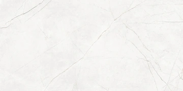 Керамогранит NL00 80x160x10 Непол.Рект. (Керамический гранит) #3