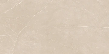 Керамогранит NL01 60x120x10 Непол.Рект. (Керамический гранит) #5