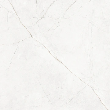 Керамогранит NL00 60x60x10 Непол.Рект. (Керамический гранит) #2
