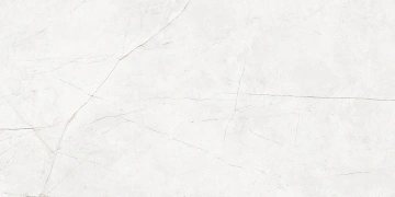Керамогранит NL00 60x120x10 Полир. (Керамический гранит) #6