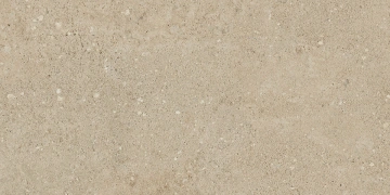 Керамогранит NP02 30,6x60,9x8 Непол. (Керамический гранит) #6