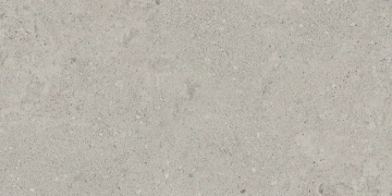 Керамогранит NP01 30,6x60,9x8 Непол. (Керамический гранит) #3