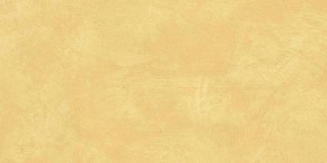 Керамогранит SR04 60x120х10 Непол.Рект. (Керамический гранит) #8