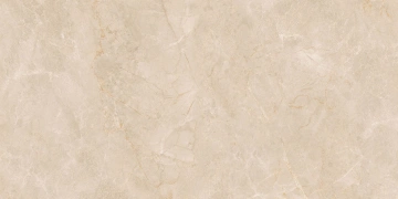 Керамогранит  JA02 40,5x40,5х8 Непол. (Керамический гранит) (43,296 м2) _5
