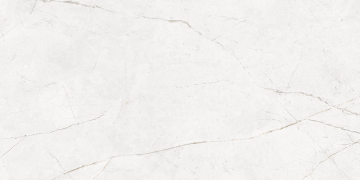 Керамогранит NL00 60x120x9 Непол.Рект. (Керамический гранит)-8