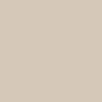 Керамогранит RW01 60x60x9 Непол.Рект. (Керамический гранит)-1