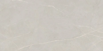 Керамогранит NL02 60x120x10 Непол.Рект. (Керамический гранит) #6