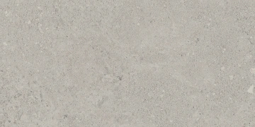 Керамогранит NP01 30,6x60,9x8 Непол. (Керамический гранит) #2