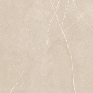 Керамогранит NL01 60x60x9 Полир. (Керамический гранит) #12