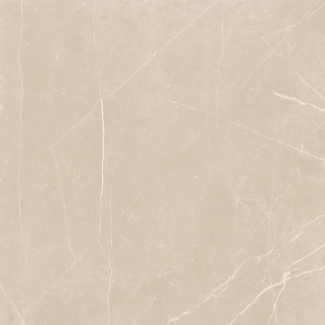 Керамогранит NL01 60x60x10 Непол.Рект. (Керамический гранит) #4