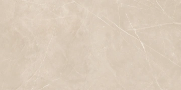 Керамогранит NL01 60x120x9 Непол.Рект. (Керамический гранит) #5