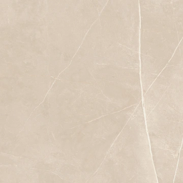 Керамогранит NL01 60x60x10 Непол.Рект. (Керамический гранит) #5