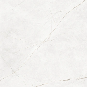 Керамогранит NL00 60x60x9 Полир. (Керамический гранит) #21