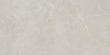 Керамогранит NL02 60x120x9 Непол.Рект. (Керамический гранит) #5