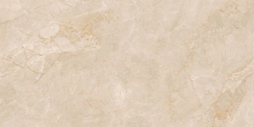 Керамогранит  JA02 40,5x40,5х8 Непол. (Керамический гранит) (43,296 м2) _2