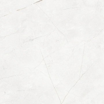 Керамогранит NL00 60x60x9 Непол.Рект. (Керамический гранит) #2